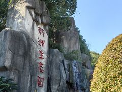 -新洲生态园