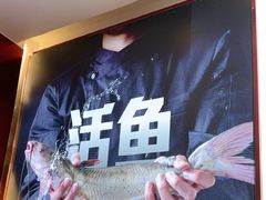 -老板恋上鱼(恒隆广场店)