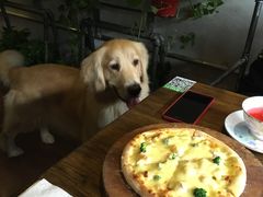 -百好乐宠物友好餐厅(朝外大街店)