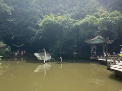 -黔灵山公园