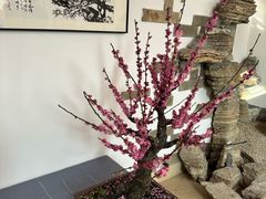 -无锡梅园公园