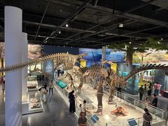 -国家自然博物馆