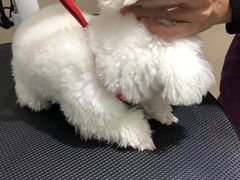 -宠颐生动物医院·小陆分院