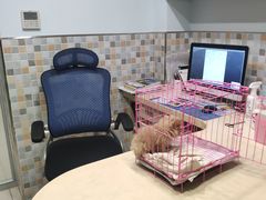 -骐奇宠物诊疗中心(南亭公路店)