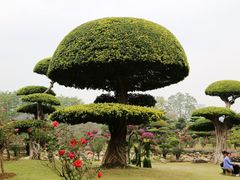 -南宁南湖公园