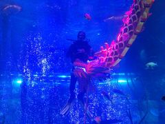 -沈阳海洋探索中心