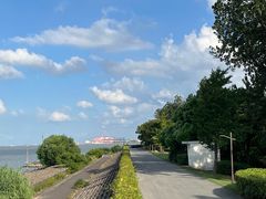 -上海滨江森林公园