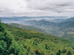 -大围山国家森林公园