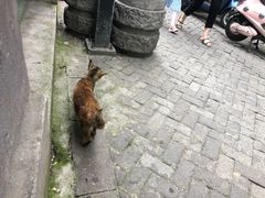 -鸡脚旮旯平江路店