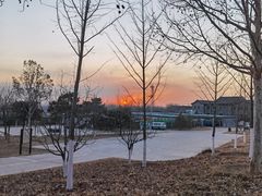 -北京西山国家森林公园