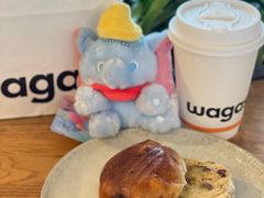 -Wagas沃歌斯(汇智店)