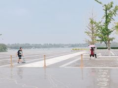 -北京麋鹿生态实验中心