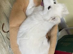 -美联众合24小时·皮肤科·外科·全科诊疗中心(华苑分院)