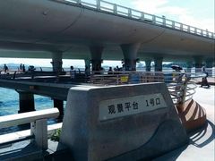 -演武大桥观景平台