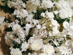 -小八仙·宴(三峡茶庄店)