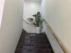 -YESIDO椰岛美容