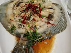 -渔码头食府·20年蓬莱老字号(登州路店)
