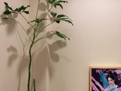 -盘子女人坊古装写真摄影(天津总店)