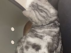 -瑞鹏宠物医院·骨科·猫科·内科(第一中心)