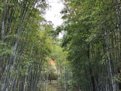 -广东温泉宾馆