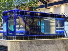 -川骄海鲜自助(河东店)