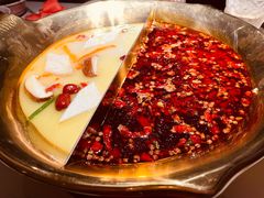 -九鼎轩脆毛肚火锅(三钢里店)