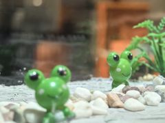 -麻田会 ·鲜活现烹·牛蛙火锅(珠江新城维家思广场店)