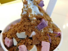 -JW德国冻酸奶Frozen Yogurt(龙湖成都滨江天街店)