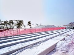 -盈香心动乐园