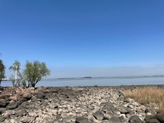 -上海吴淞炮台湾国家湿地公园
