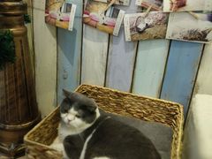-小时光咖啡馆(开森度假森林店)