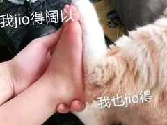 -承启堂中医馆·推拿·针灸(成华馆)
