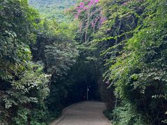 -小南山公园