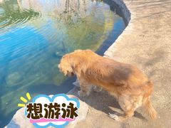 -春风习习