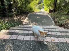 -广州市白云山风景名胜区