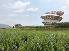 -光明小镇欢乐田园