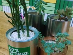 -Green Option(官舍店)