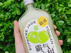 霸气玉油柑-奈雪的茶(市百一店)