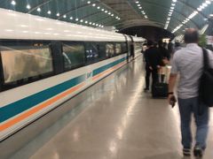 -龙阳路磁悬浮列车总站-停车场