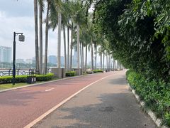 -南宁南湖公园