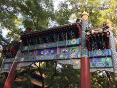 -北京国子监胡同