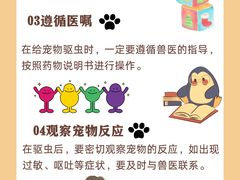 -美联众合动物医院·24h转诊中心