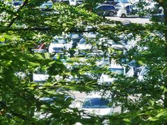 -武陵山森林公园