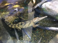-可伦宾野生动物保护区