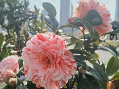 -苏州河梦清园环保主题公园