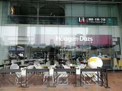 -哈根达斯(天河城店)