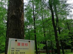 -晓港公园