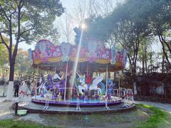 -合肥滨湖国家森林公园