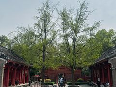 -房湖公园