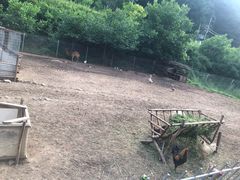 -北京山里寒舍度假酒店